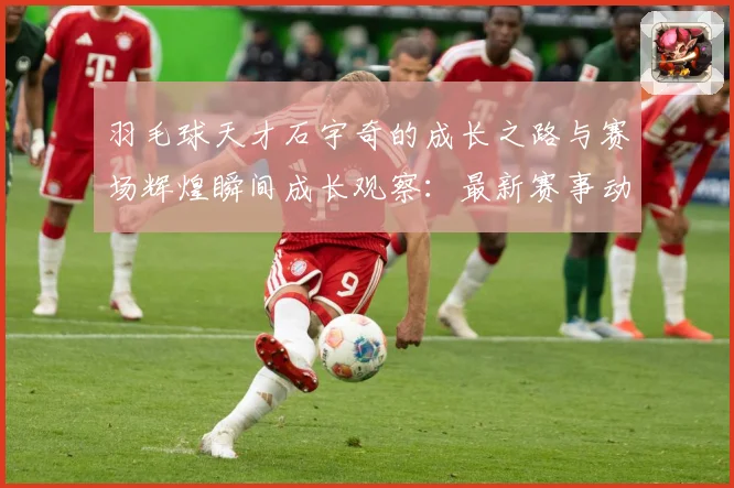羽毛球天才石宇奇的成长之路与赛场辉煌瞬间成长观察：最新赛事动态与深度分析